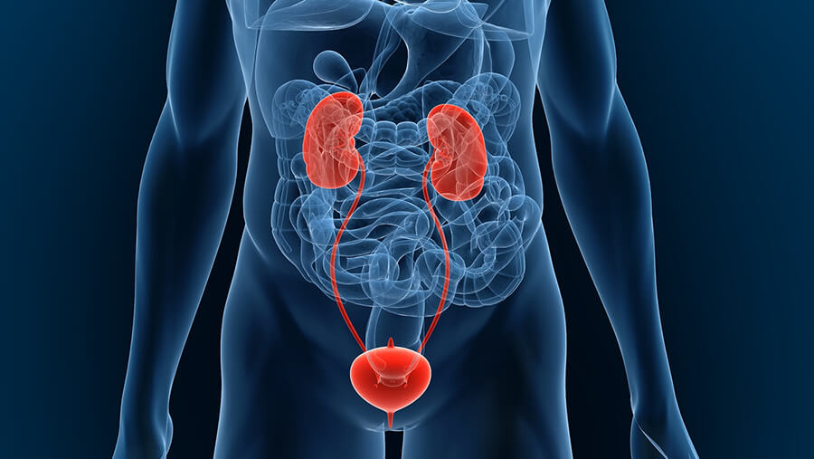 Andrologia - Poliambulatorio San Gaetano - Thiene Vicenza