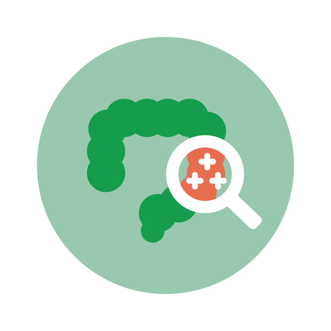 Endoscopia digestiva