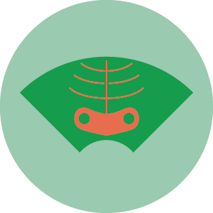 Ecografia Addome Superiore Ecografia Addome Superiore