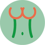 Ecografia al Seno Ecografia al Seno