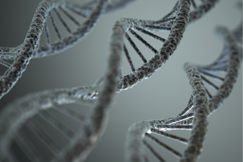 Genetica Medica Thiene Vicenza