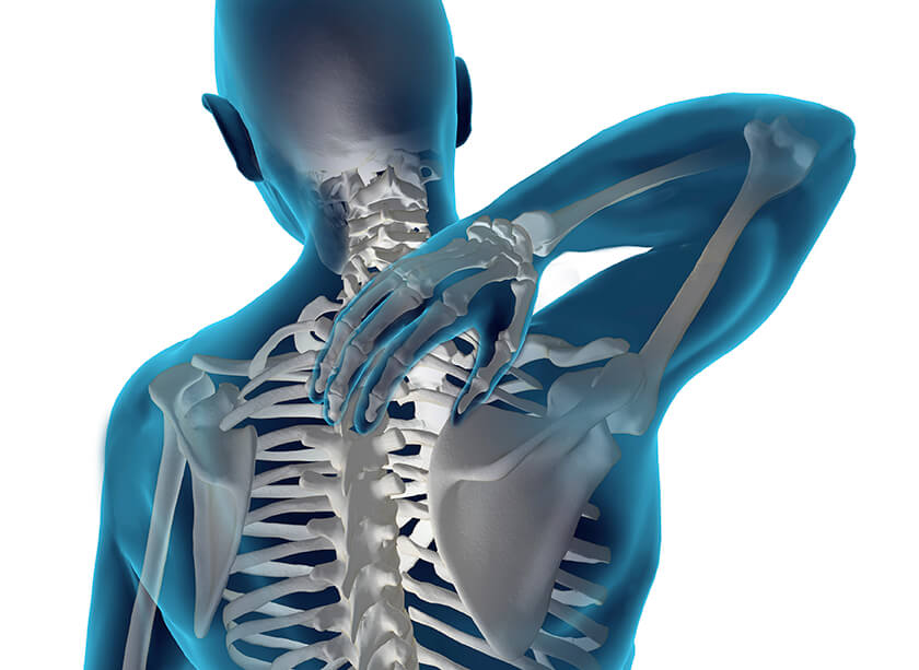 Ortopedia - thiene vicenza