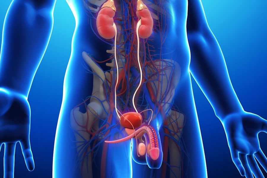 Le patologie prostatiche. Intervista al Dott. Andrea Guttilla