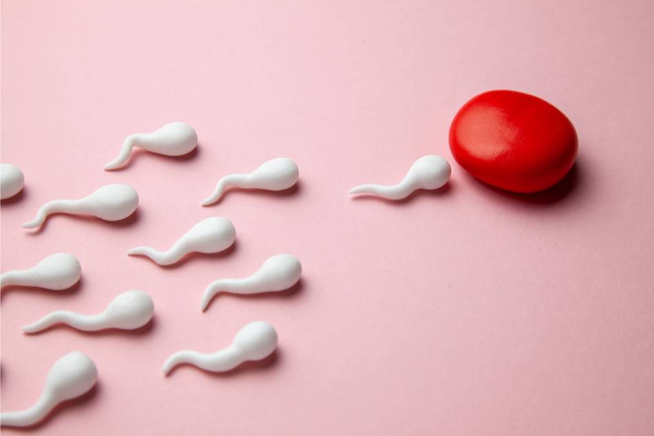 esami fertilita maschile thiene schio vicenza