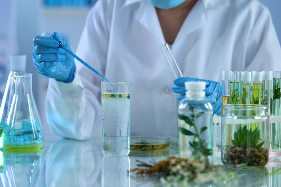 fitoterapia integrata thiene schio vicenza poliambulatori san gaetano