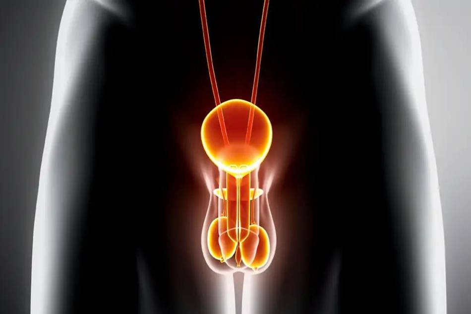 Iperplasia prostatica-ecogragia addome inferiore