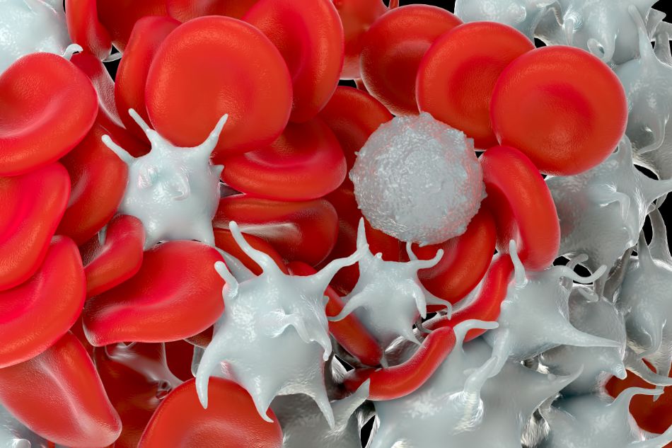 visita ematologica thiene schio vicenza