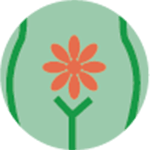 Applicazione Spirale Intrauterina (IUD) Applicazione Spirale Intrauterina (IUD)