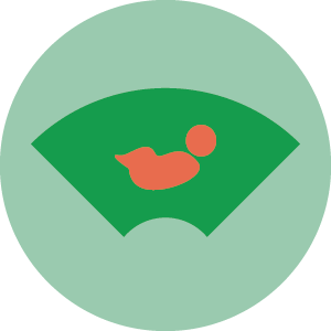 Ecografie ecodoppler