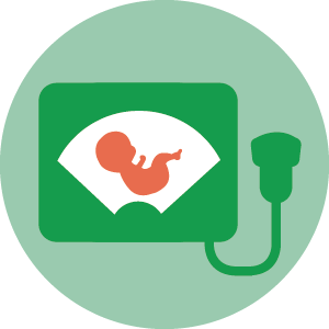 Ecografia in Gravidanza Ecografia in Gravidanza