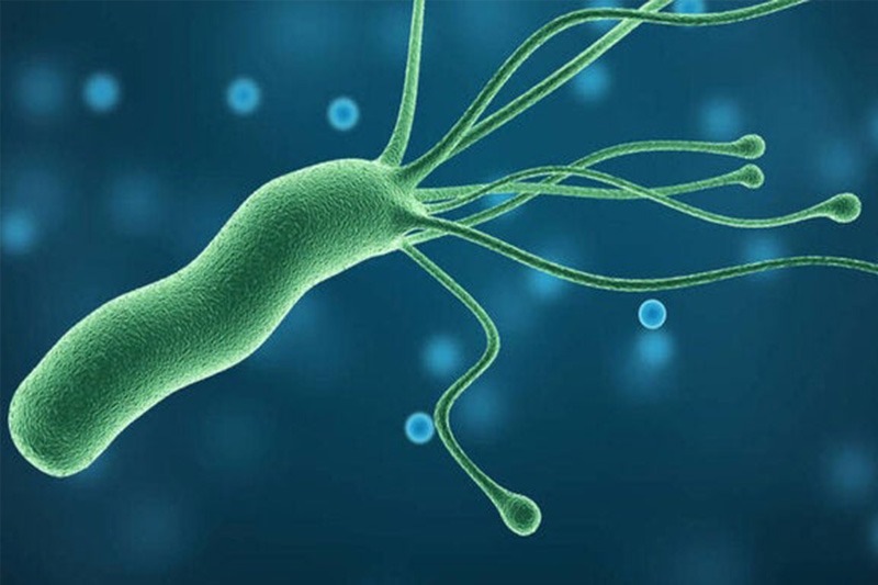 helicobacter pylori breath test thiene schio vicenza