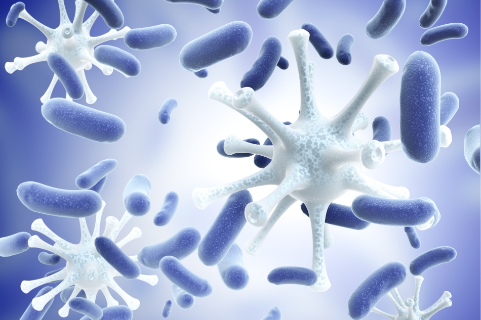 infettivologo thiene schio vicenza