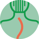 Pancafit Metodo Raggi Pancafit Metodo Raggi