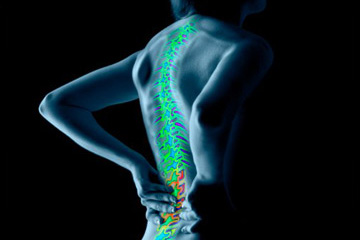 posturologia studio dentistico spezzapria zancan