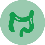 Tampone Anale per ricerca HPV Tampone Anale per ricerca HPV