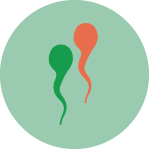 Spermiocoltura Spermiocoltura