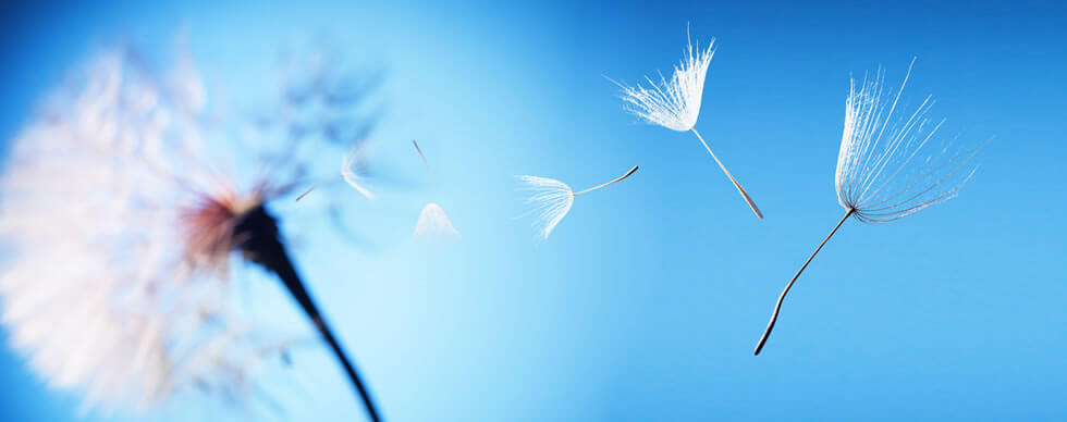 visita allergologica vicenza thiene schio