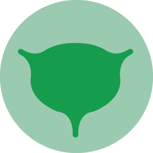 Urology and Andrology Examination